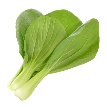 Picture of Cabbage Pak Choi 1kg