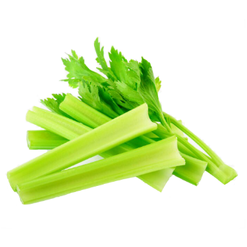 Picture of Celery Soup 1kg