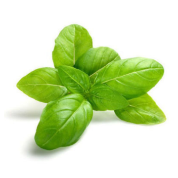 Picture of Basil 1kg